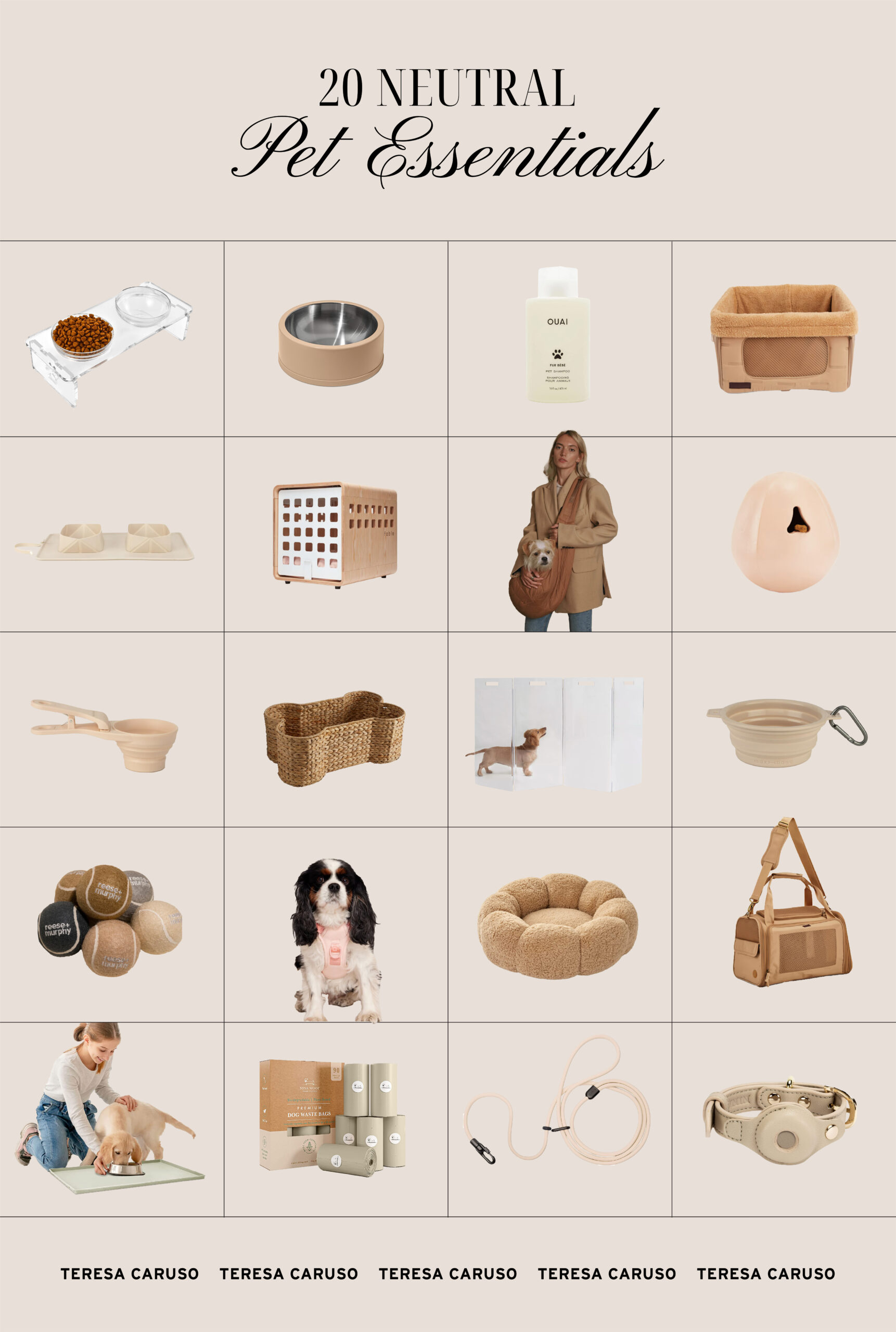 20 Neutral Pet Supplies That Are Actually Cute - Teresa Caruso