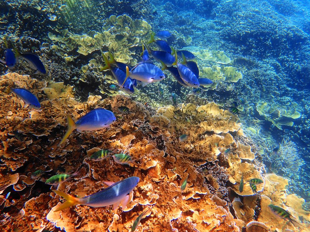 Are these dream travel destinations on your bucket list? Discover the hidden gems that are seriously dream vacation destinations&hellip;and start packing!