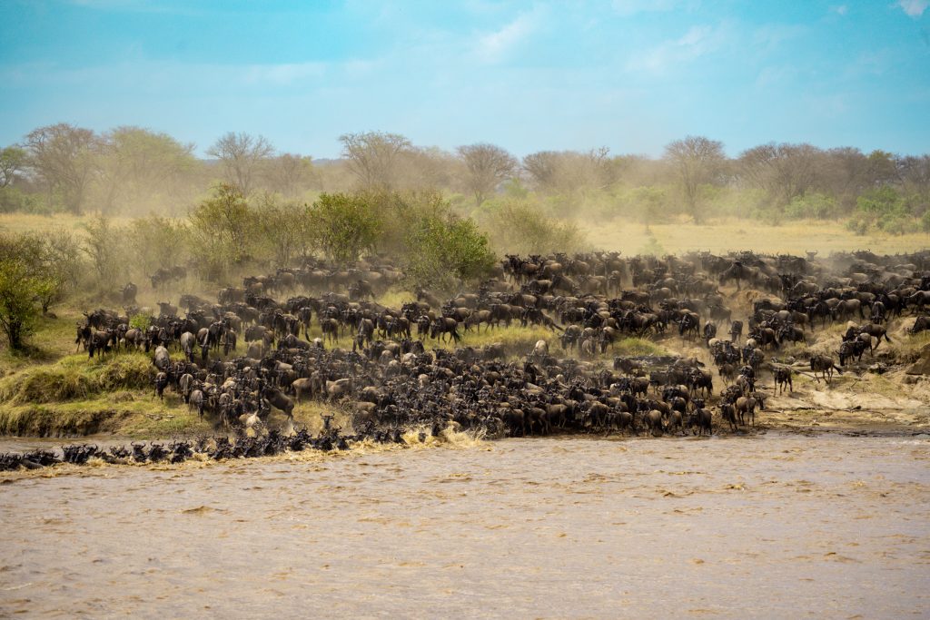 Great Migration river crossing in Tanzania. Are these dream travel destinations on your bucket list? Discover the hidden gems that are seriously dream vacation destinations&hellip;and start packing!